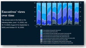 McKinsey Summary Exec Poll